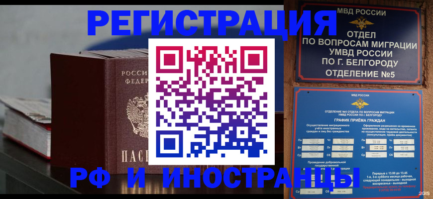 прописка 2025 в Ермолино